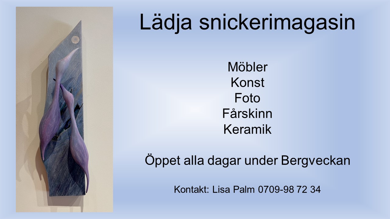 Lädja snickerimagasin